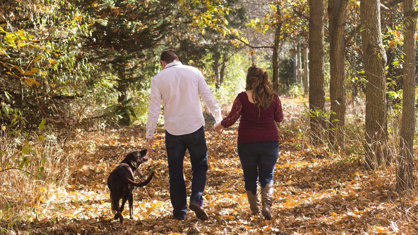 Ein Paar geht Hand in Hand durch einen Herbstwald, ein Hund läuft voraus